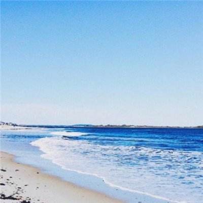 博雅.体育app手机版下载